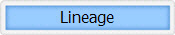 Lineage